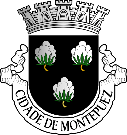 Brasão do Concelho de Montepuez - Montepuez municipal coat-of-arms