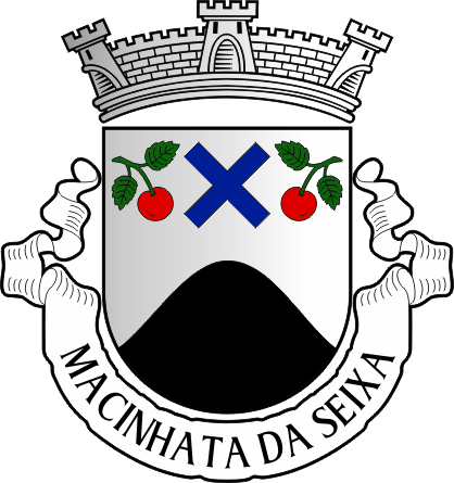 Brasão da antiga freguesia de Macinhata da Seixa - Macinhata da Seixa former civil parish, coat-of-arms
