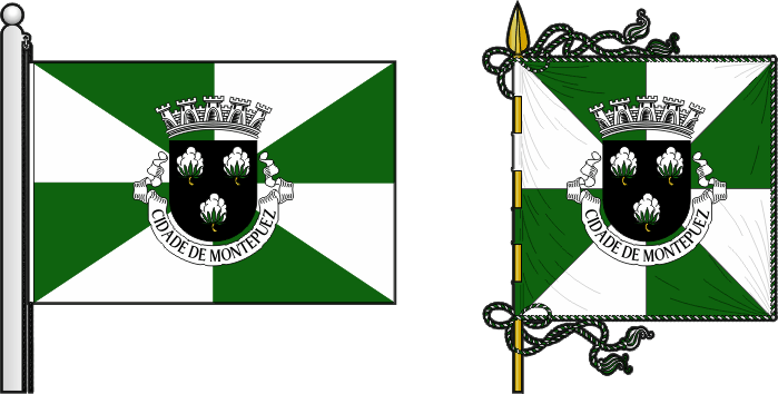 Bandeira e estandarte do Concelho de Montepuez - Montepuez municipal flag and banner