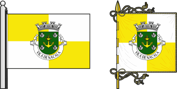 Bandeira e estandarte do Concelho de Fernão Veloso - Fernão Veloso municipal flag and banner