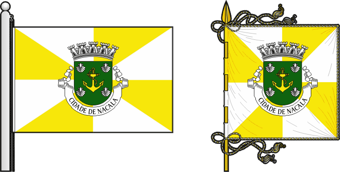 Bandeira e estandarte do Concelho de Fernão Veloso - Fernão Veloso municipal flag and banner