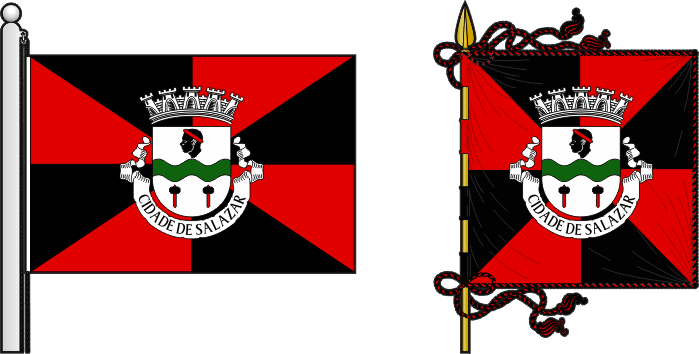 Bandeira e estandarte do Concelho da Matola - Matola municipal flag and banner