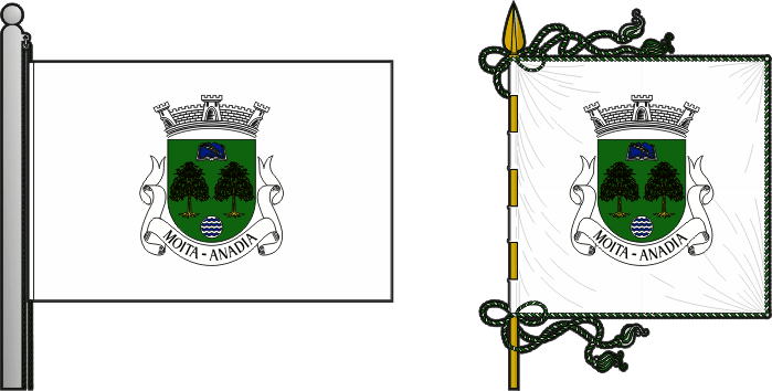 Bandeira e estandarte da freguesia de Moita - Moita civil parish, flag and banner Bandeira e estandarte da freguesia de Moita - Moita civil parish, flag and banner