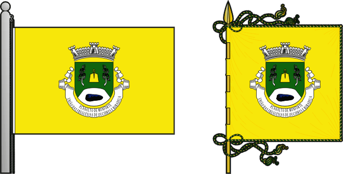 Bandeira e estandarte de Planalto de Monforte (União das freguesias de Oucidres e Bobadela) - Monforte Plateau (Oucidres e Bobadela civil parishes union) flag and banner