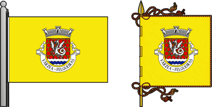 Bandeira e estandarte da antiga freguesia de Várzea - Várzea former civil parish, flag and banner Bandeira e estandarte da antiga freguesia de Várzea - Várzea former civil parish, flag and banner