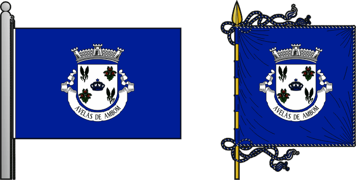 Bandeira e estandarte da antiga freguesia de Avelãs de Ambom - Avelãs de Ambom former civil parish, flag and banner