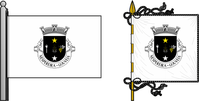 Bandeira e estandarte da freguesia de Nespereira - Nespereira civil parish, flag and banner