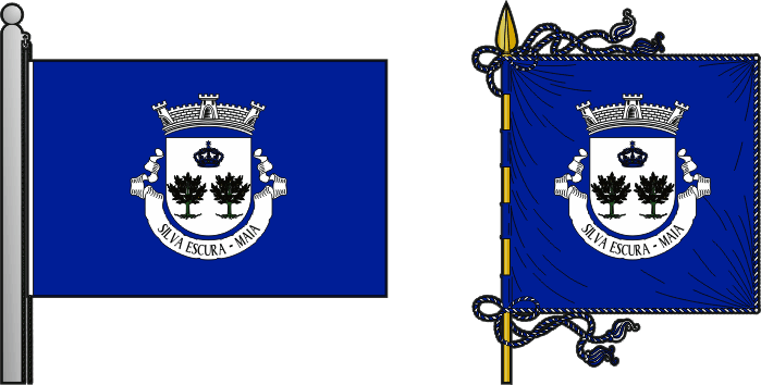 Bandeira e estandarte da antiga freguesia de Silva Escura - Silva Escura former civil parish, flag and banner