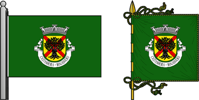 Bandeira e estandarte da antiga freguesia de Castanheira - Castanheira former civil parish, flag and banner