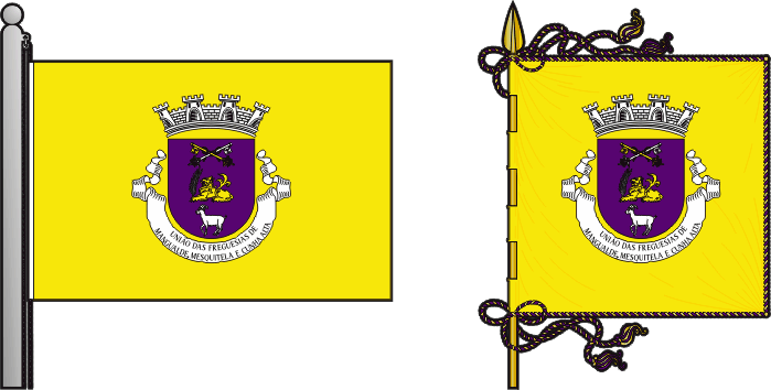 Bandeira e estandarte da União das freguesias de Mangualde, Mesquitela e Cunha Alta - Mangualde, Mesquitela and Cunha Alta civil parishes union flag and banner