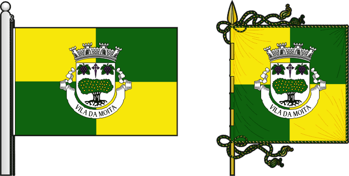 Bandeira e estandarte do Município da Moita - Moita municipal flag and banner Bandeira e estandarte do Município da Moita - Moita municipal flag and banner