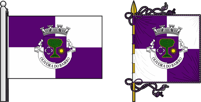 Bandeira e estandarte do Município de Oliveira do Bairro - Oliveira do Bairro municipal flag and banner