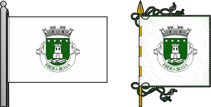 Bandeira e estandarte do município de Ribeira Brava - Ribeira Brava Municipality flag and banner