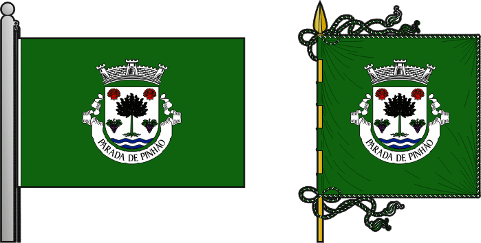 Bandeira e estandarte da freguesia de Parada de Pinhão - Parada de Pinhão civil parish, flag and banner Bandeira e estandarte da freguesia de Parada de Pinhão - Parada de Pinhão civil parish, flag and banner