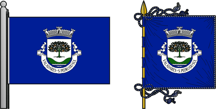 Bandeira e estandarte da freguesia de Valadares - Valadares civil parish, flag and banner