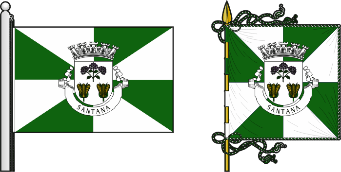 Bandeira e estandarte do Município de Santana - Santana municipal flag and banner
