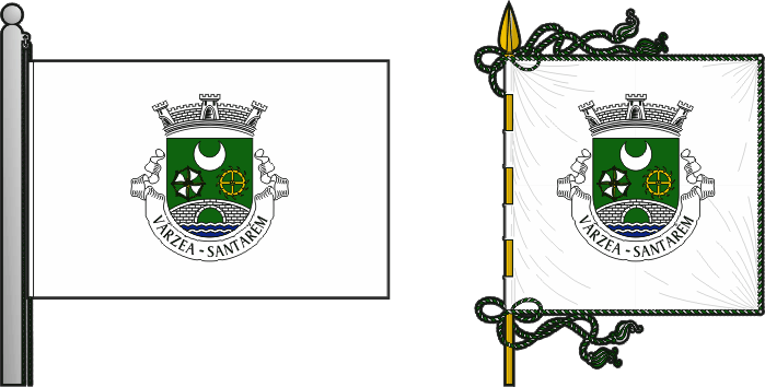 Bandeira e estandarte da antiga freguesia de Várzea - Várzea former civil parish, flag and banner