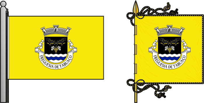Bandeira e estandarte da freguesia de Tabuaço - Tabuaço civil parish, flag and banner