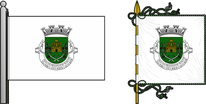 Bandeira e estandarte da União das freguesias de Trancoso (São Pedro e Santa Maria) e Souto Maior - Trancoso (São Pedro and Santa Maria) and Souto Maior civil parishes union flag and banner