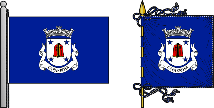 Bandeira e estandarte da antiga freguesia de Caparrosa - Caparrosa former civil parish, flag and banner