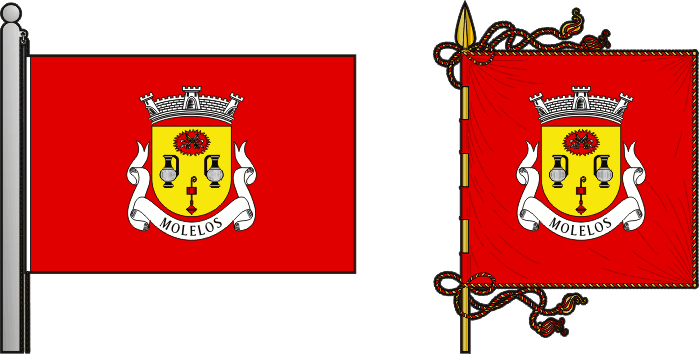 Bandeira e estandarte da freguesia de Molelos - Molelos civil parish, flag and banner