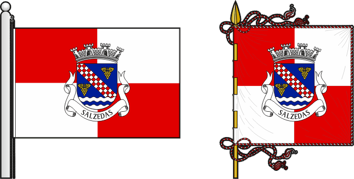 Bandeira e estandarte da freguesia de Salzedas - Salzedas civil parish, flag and banner