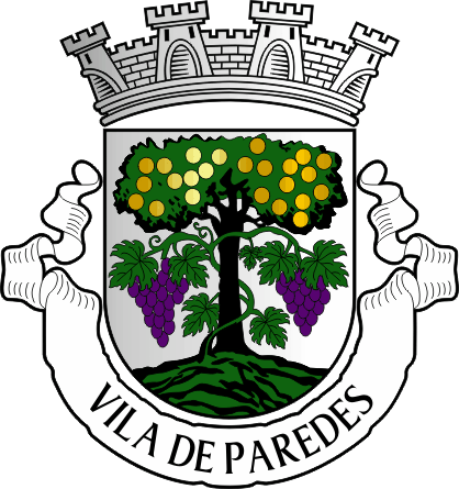 Brasão do Município de Paredes - Paredes municipal coat-of-arms
