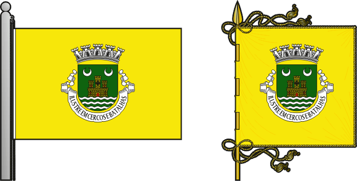 Bandeira e estandarte do Concelho de Diu - Diu municipal flag and banner