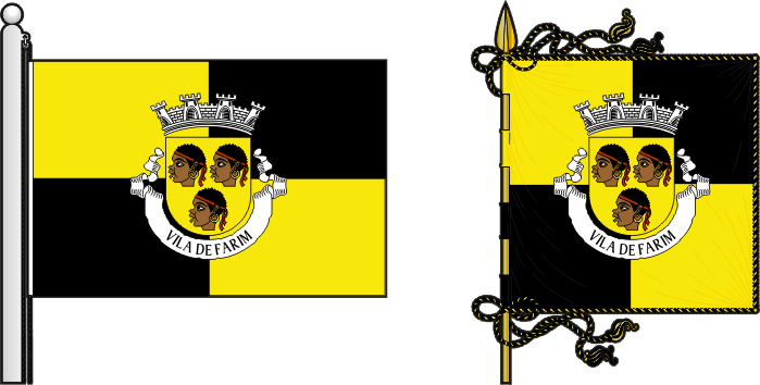 Bandeira e estandarte do Concelho de Farim - Farim municipal flag and banner