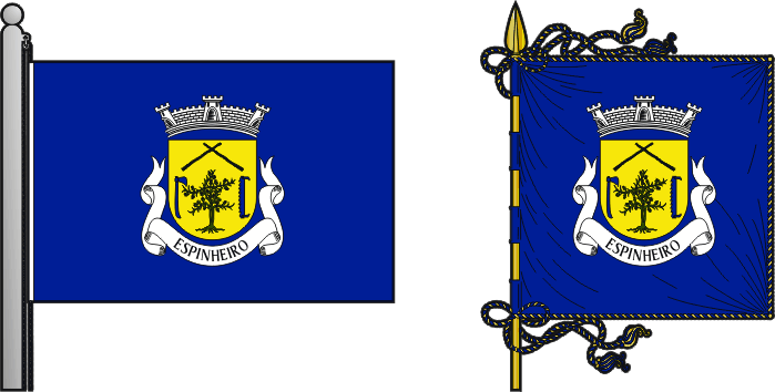 Bandeira e estandarte da antiga freguesia de Espinheiro - Espinheiro former civil parish, flag and banner Bandeira e estandarte da antiga freguesia de Espinheiro - Espinheiro former civil parish, flag and banner