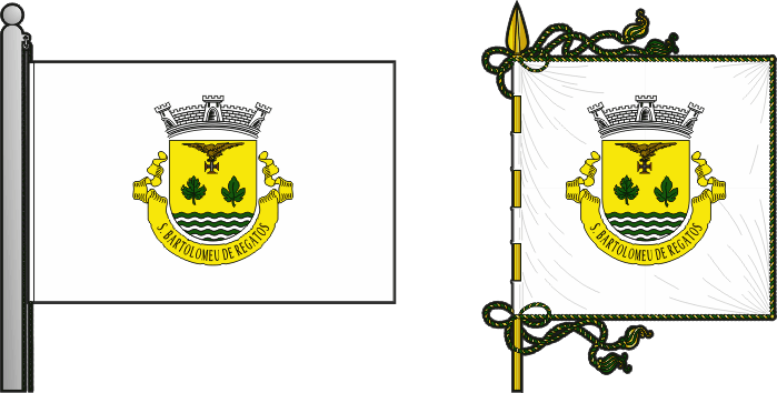 Bandeira e estandarte da freguesia de São Bartolomeu de Regatos - São Bartolomeu de Regatos civil parish, flag and banner Bandeira e estandarte da freguesia de São Bartolomeu de Regatos - São Bartolomeu de Regatos civil parish, flag and banner