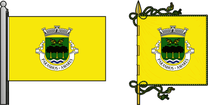 Bandeira e estandarte da antiga freguesia de Paranhos - Paranhos former civil parish, flag and banner