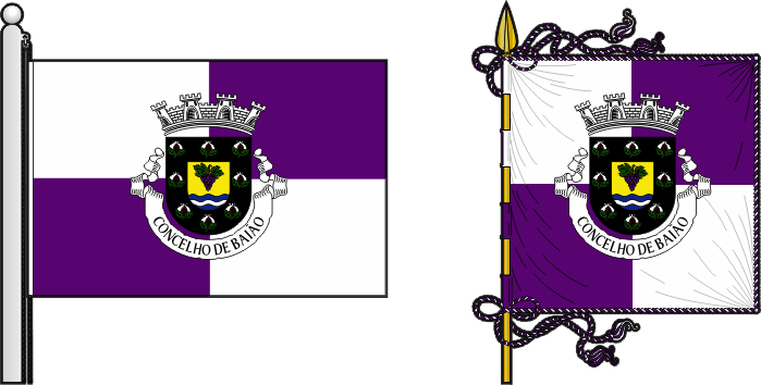 Bandeira e estandarte do Município de Baião - Baião municipal flag and banner