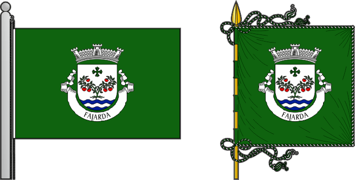 Bandeira e estandarte da antiga freguesia de Fajarda - Fajarda former civil parish, flag and banner Bandeira e estandarte da antiga freguesia de Fajarda - Fajarda former civil parish, flag and banner