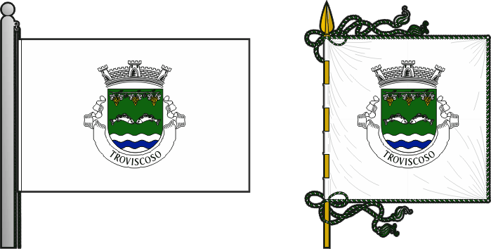 Bandeira e estandarte da antiga freguesia de Troviscoso - Troviscoso former civil parish, flag and banner Bandeira e estandarte da antiga freguesia de Troviscoso - Troviscoso former civil parish, flag and banner