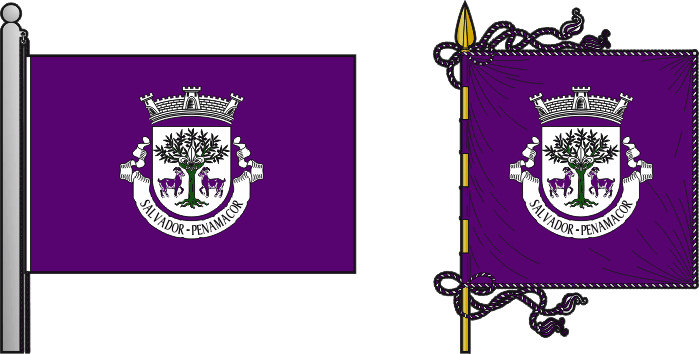 Bandeira e estandarte da freguesia de Salvador - Salvador civil parish, flag and banner Bandeira e estandarte da freguesia de Salvador - Salvador civil parish, flag and banner