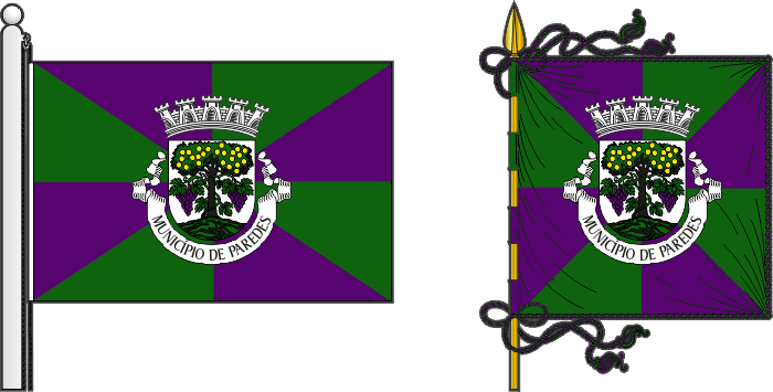 Bandeira e estandarte do Município de Paredes - Paredes municipal flag and banner