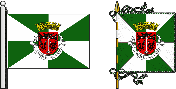 Bandeira e estandarte do Concelho de Díli - Díli municipal flag and banner