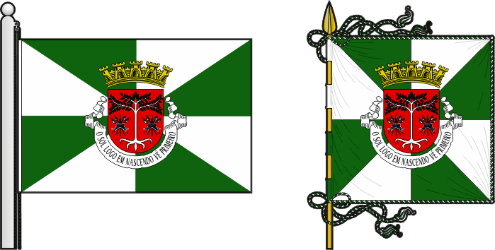 Bandeira e estandarte do Concelho de Díli - Díli municipal flag and banner